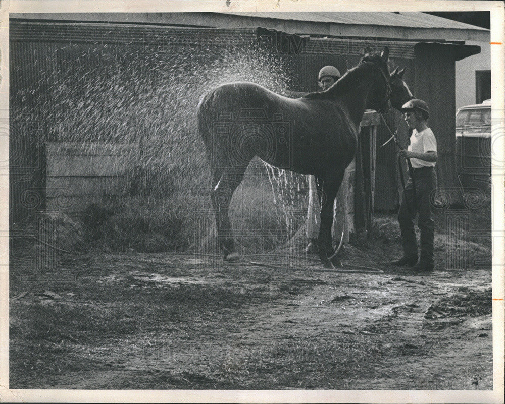 1972 Press Photo Jockeys hose off horse, at Florida Downs. - Historic Images