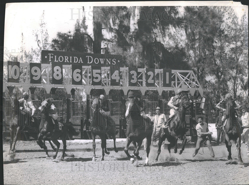 1976 Press Photo Florida Downs - Historic Images