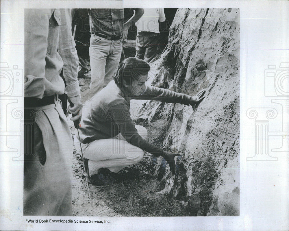 1967 Press Photo of Lorena MIrambell, archaeologist. - Historic Images