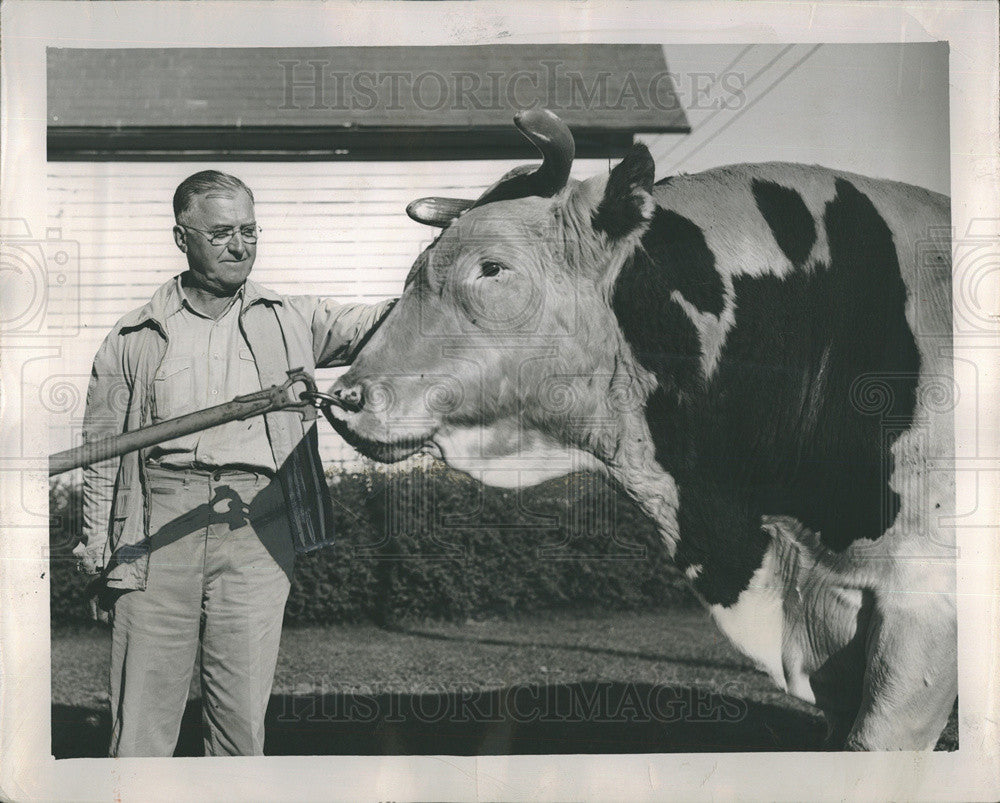 1957 Press Photo Bull Governor Dawn Arthur and Dr. Karl A. Meyer on Kamlake Farm - Historic Images