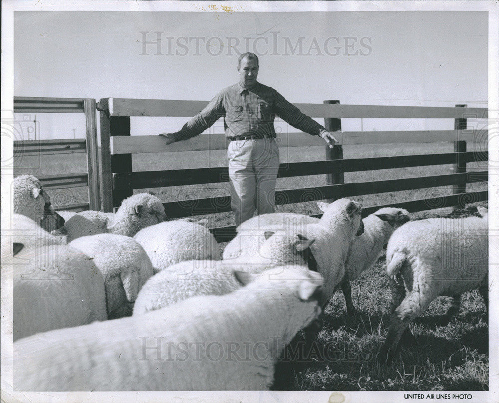 1957 Press Photo Capt. Joe Qualm on his farm with his sheep. - Historic Images