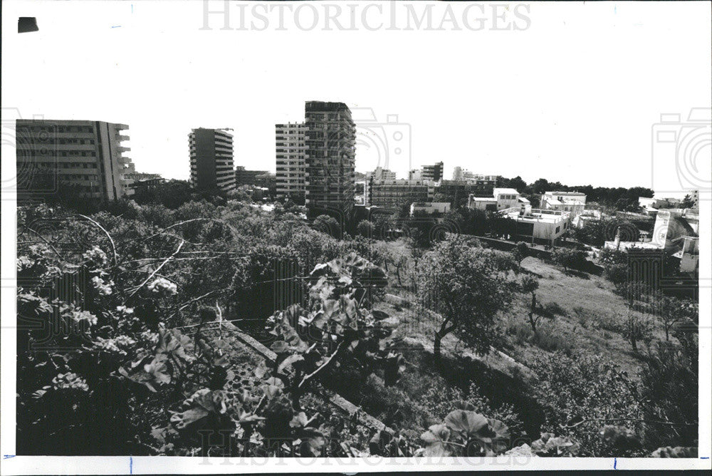 1981 Press Photo Bill Kurtis interviews artist Joan Miro in Majorca - Historic Images