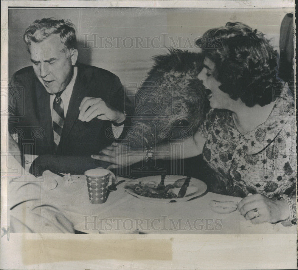 1961 Press Photo Baby Elephant Used by Republican Party During Governors Day - Historic Images