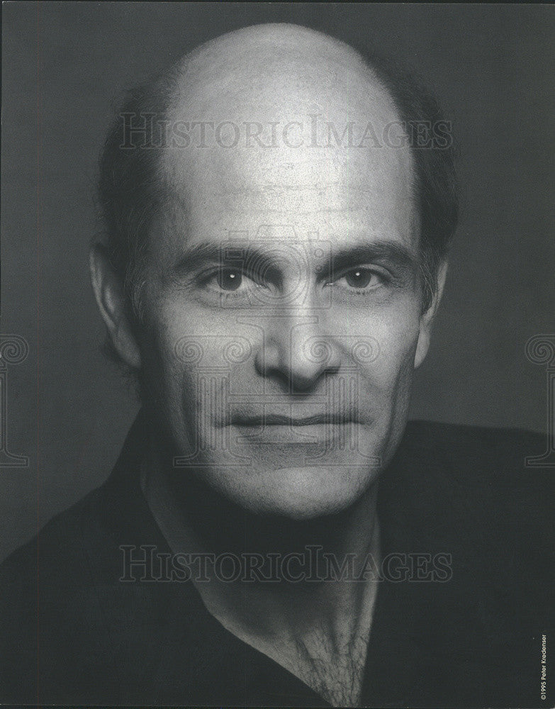 1995 Press Photo Actor Alan Rachins - Historic Images
