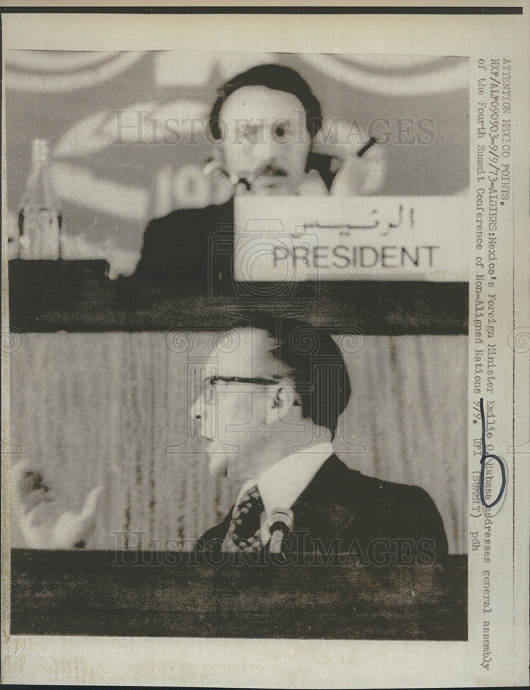 1973 Press Photo Mexico&#39;s Foreign Minister Rabasa Addressing General Assembly - Historic Images