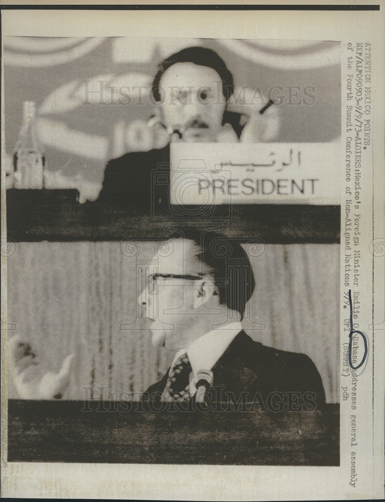 1973 Press Photo Mexico's Foreign Minister Rabasa Addressing General Assembly - Historic Images