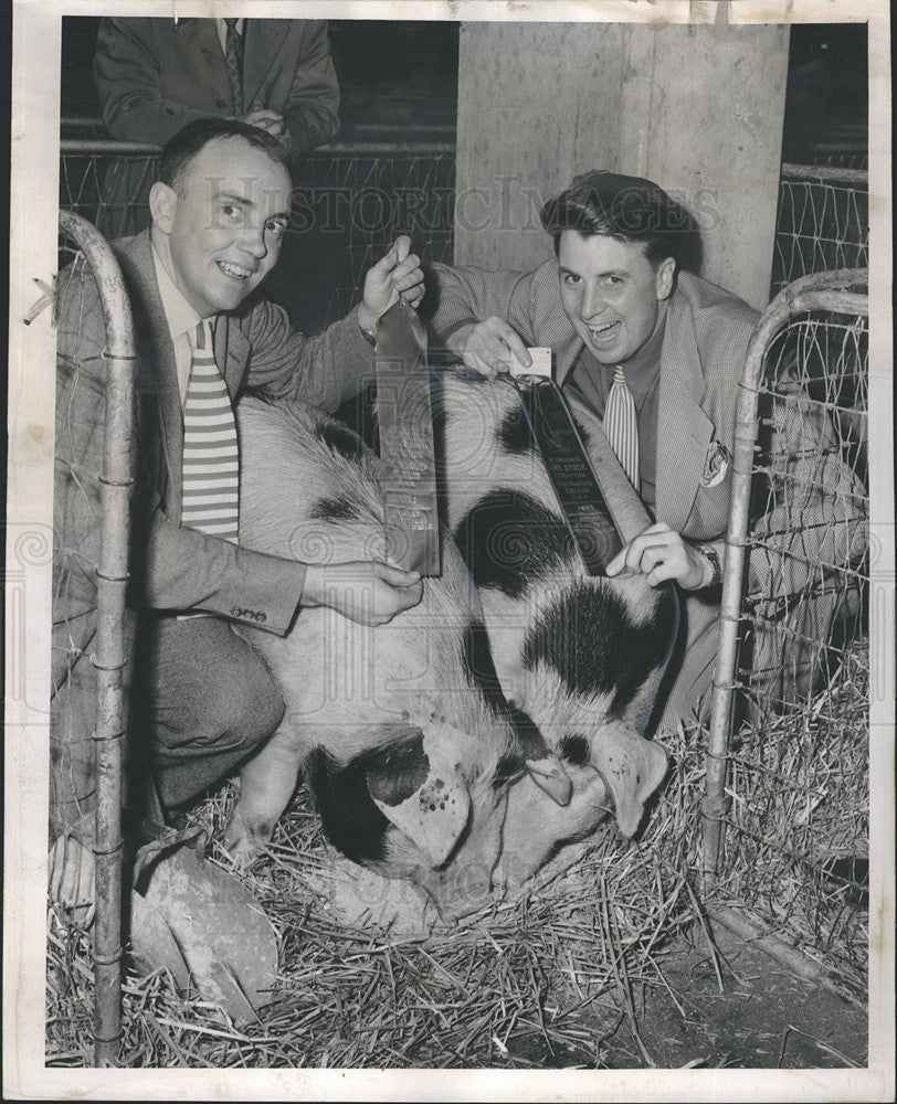 1952 Press Photo Hots Michels and Hal White showing blue ribbons their pigs won - Historic Images