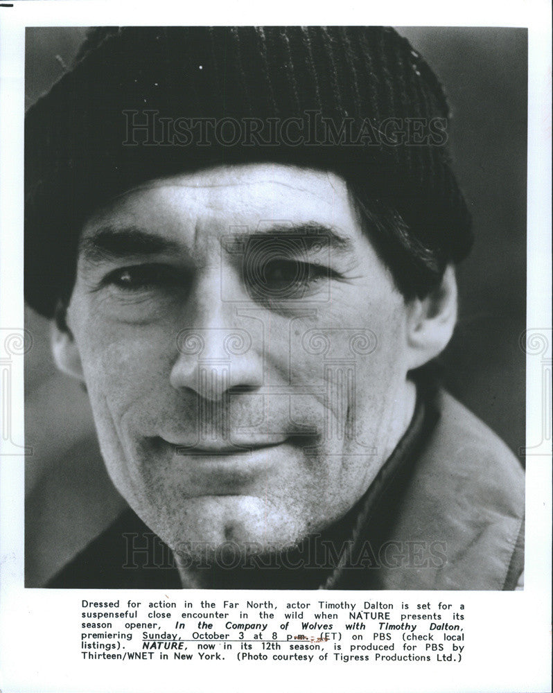 1993 Press Photo Actor Timothy Dalton &quot;In The Company Of Wolves&quot; &quot;Nature&quot; - Historic Images