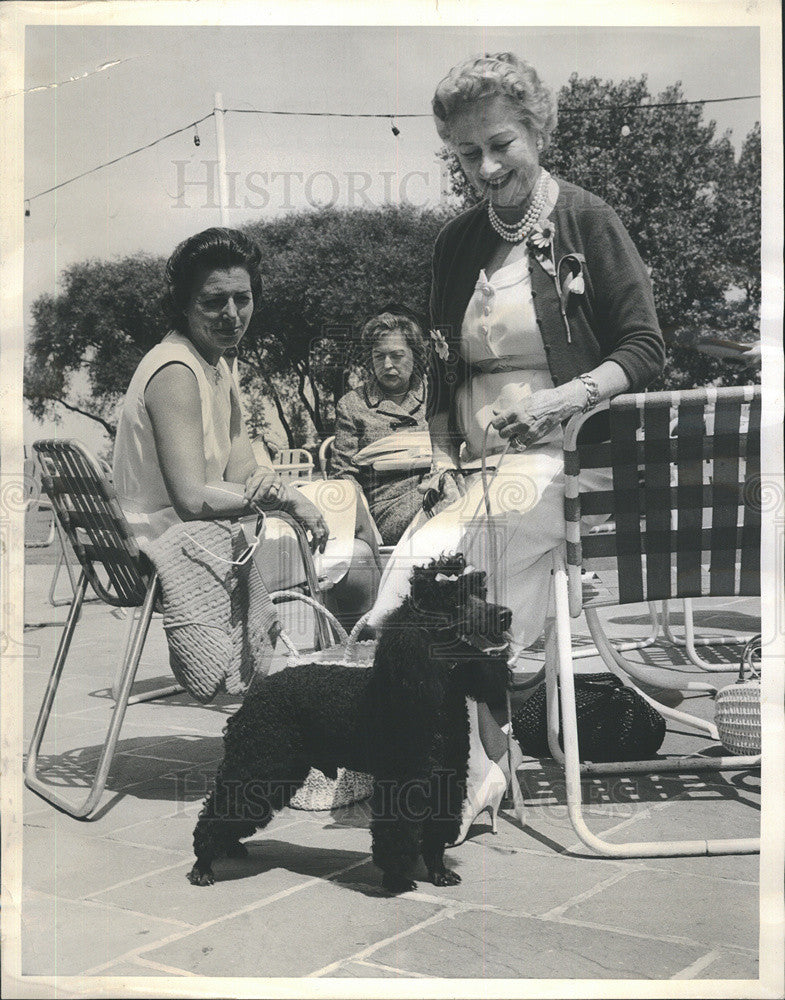 1963 Press Photo Mrs Walter Monroe and her dog Beau Illinois Chiclrens Home and - Historic Images