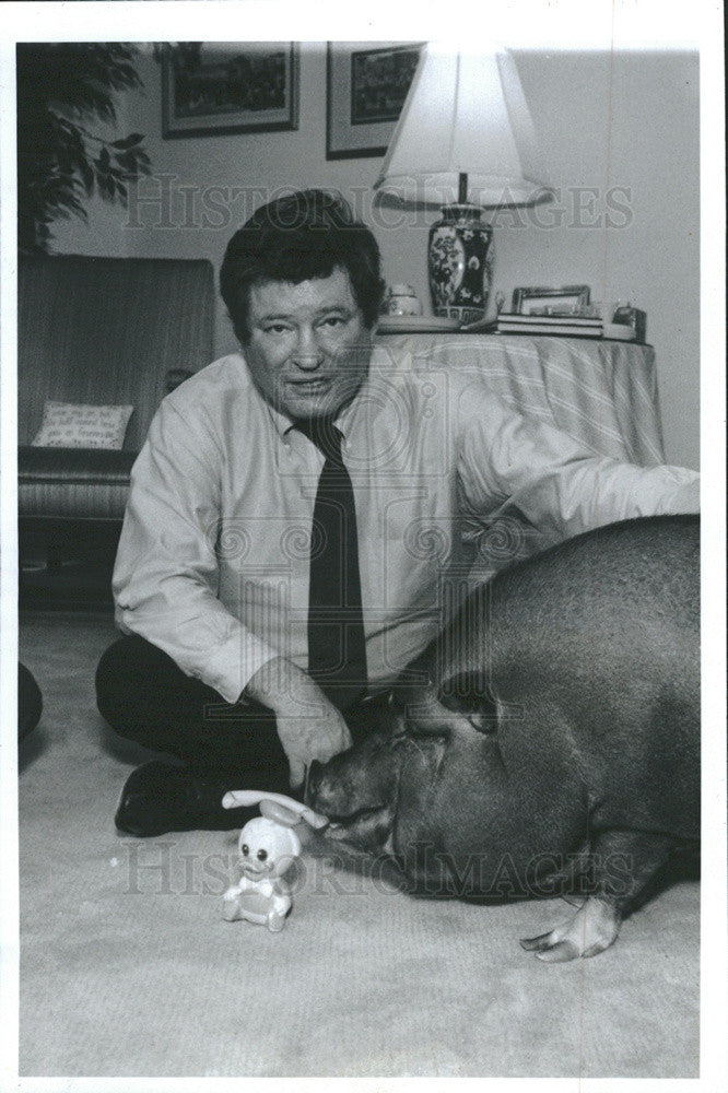 1991 Press Photo Tom Stern &amp; Potbellied Pig Named Laddie Neighbors Don&#39;t Like - Historic Images