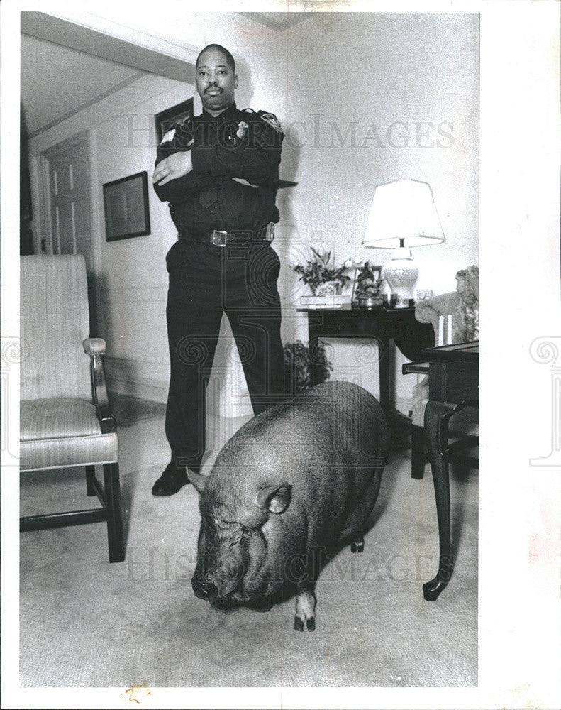 1991 Press Photo Thomas Sterns Pet Pig Laddie Guarded by Security Guard - Historic Images