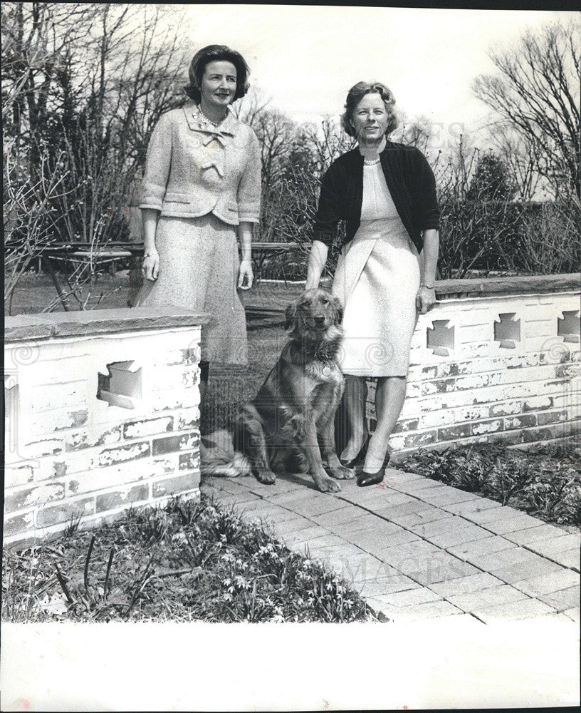 1964 Press Photo Mrs. Laurence Morgan and Mrs. Joseph Rich - Historic Images