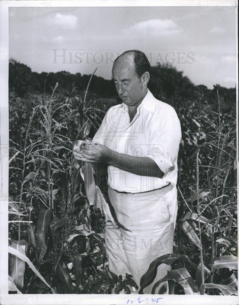 1956 Press Photo Gov. Adlai Stevenson on His Illinois Farm - Historic Images