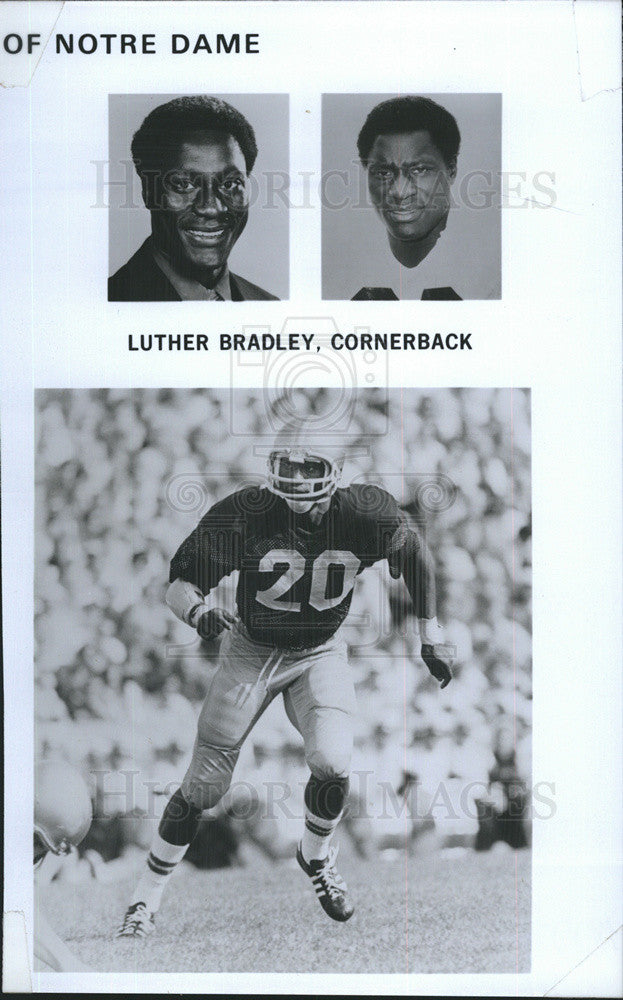 1977 Press Photo Luther Bradley, Cornerback of Notre Dame - Historic Images