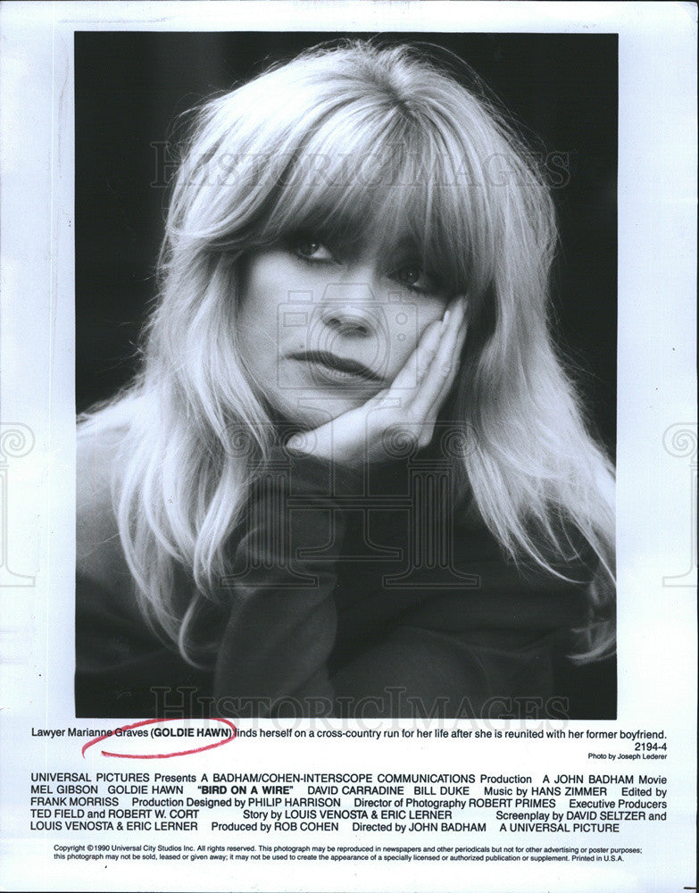 1990 Press Photo Goldie Hawn in &quot;Bird on a Wire&quot; - Historic Images