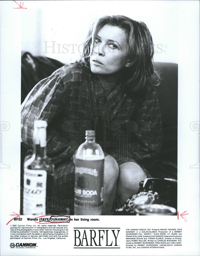 1988 Press Photo Faye Dunaway Barfly - Historic Images