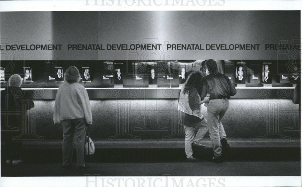 1993 Press Photo Mike &amp; Joleen Richards check out development of embryos - Historic Images