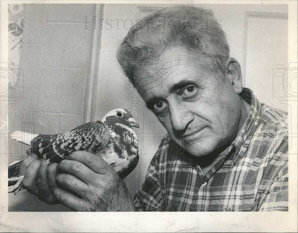 1980 Press Photo Detective Joseph Ricci with one of his pigeons - Historic Images