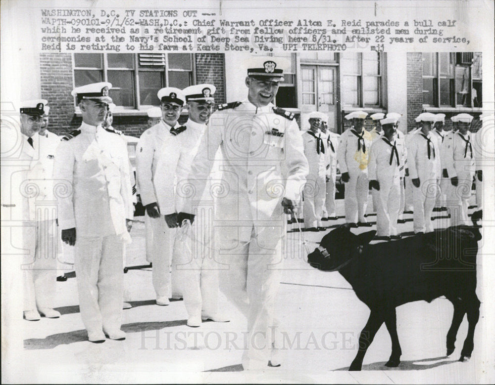 1962 Press Photo Chief Warrant Officer Alton E. Reid parades a bull calf - Historic Images