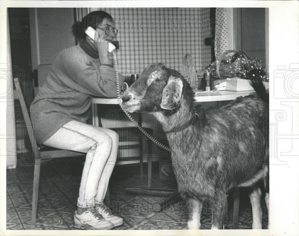 1989 Press Photo Angelina The goat Stays Inside With Her Owner Pamela Christy - Historic Images