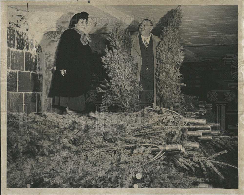 1951 Press Photo Gust Relias Chicago Christmas Tree King - Historic Images