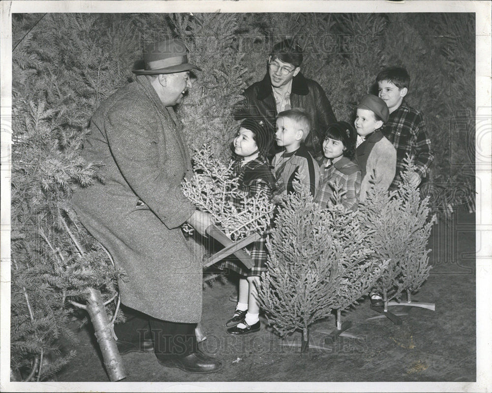 1952 Press Photo Gus Relias Chicago Christmas Tree Businessman - Historic Images