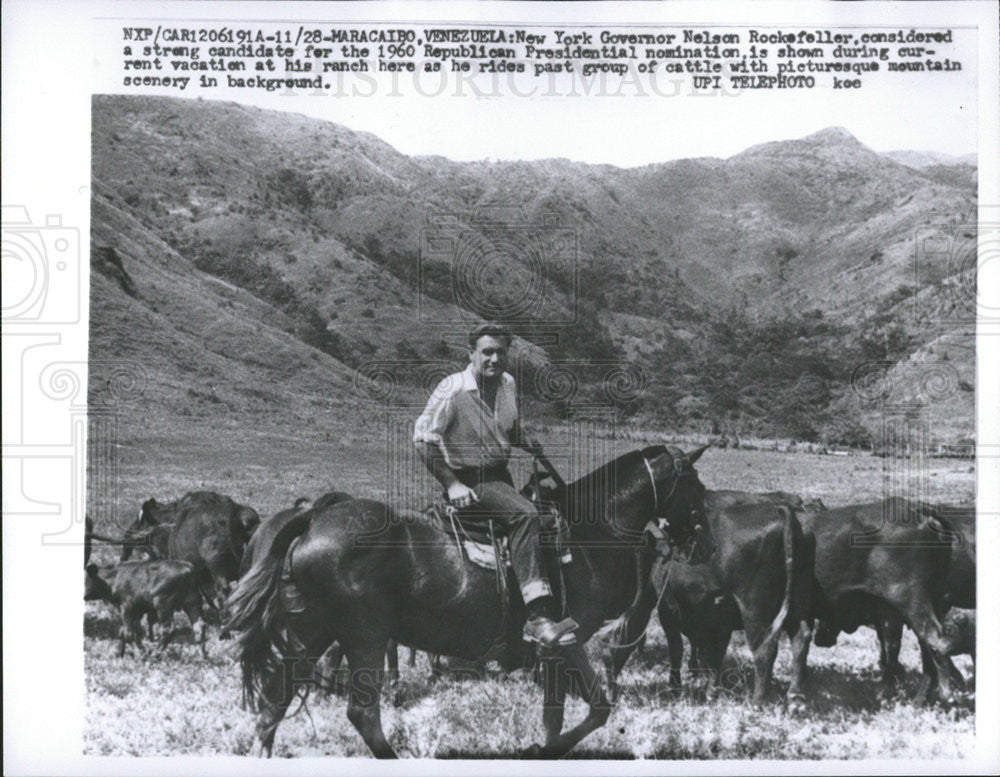 1959 Press Photo NY Gov Rockefeller Roundin Up Cattle at His Venzuelan Ranch - Historic Images