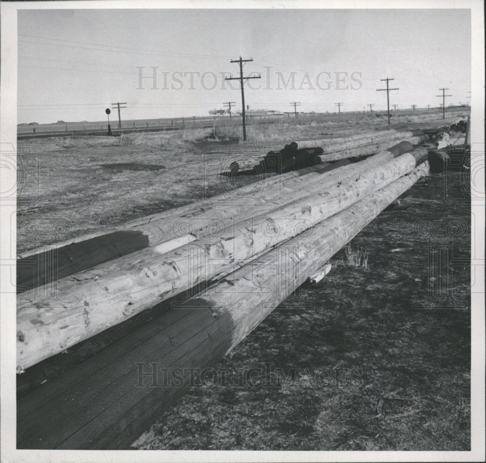 1948 Press Photo Theresa Foster - Historic Images