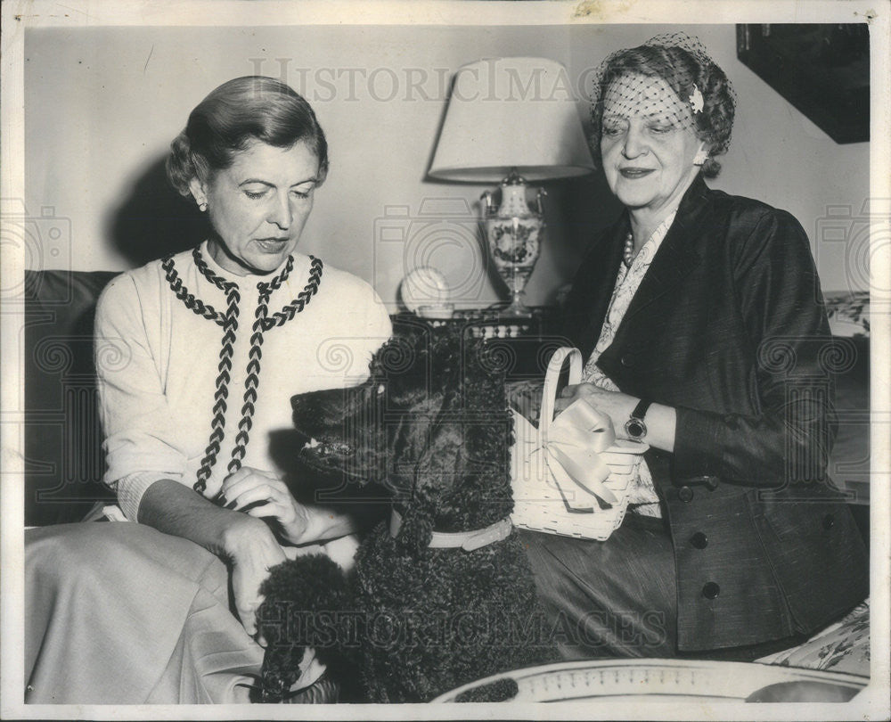 1952 Press Photo Mrs.Kimball Salisbury shows off her pet to Mrs.Jane Kittle. - Historic Images