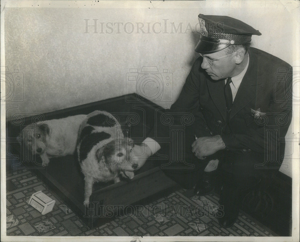 1939 Press Photo Pat. G Holmes &amp; Dogs of Beating &amp; Strangling Victim Rose Neary - Historic Images