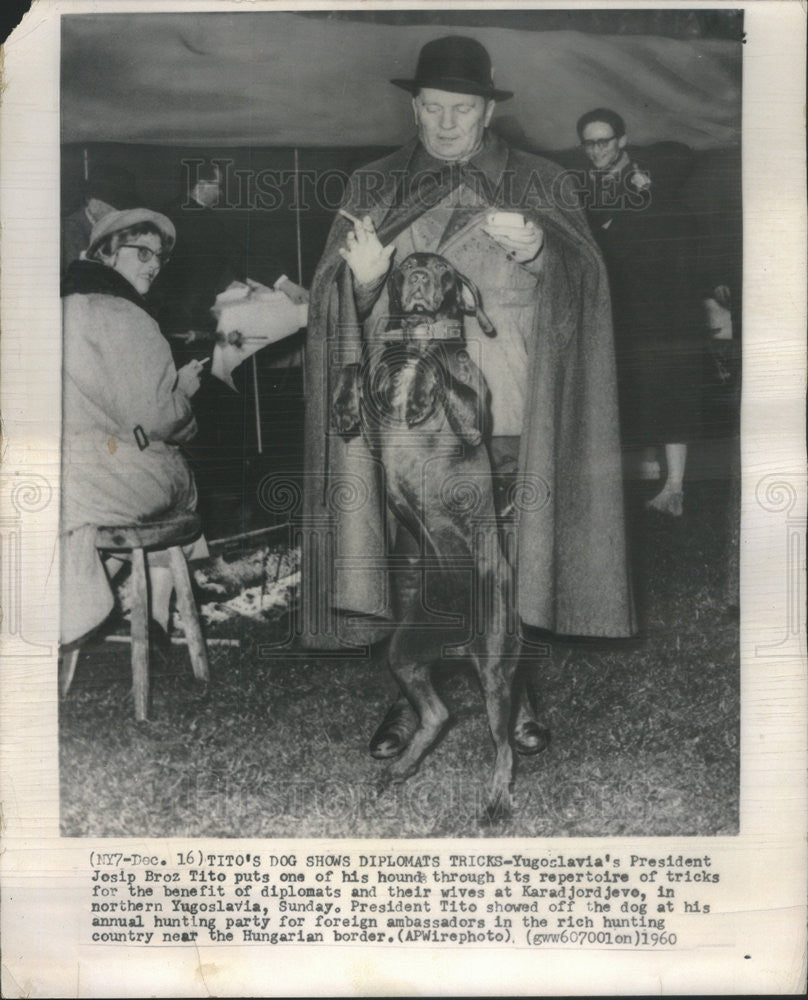 1960 Press Photo Yugoslavia President Tito&#39;s Hounds Perform For Diplomats - Historic Images