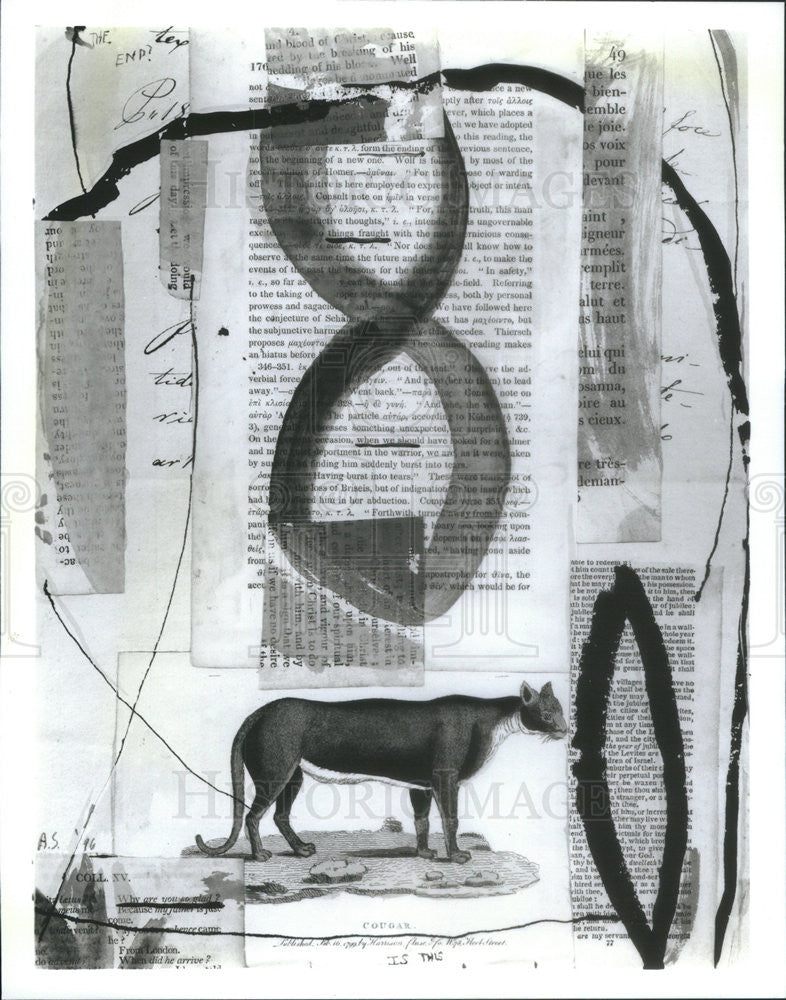 1996 Press Photo From Artist Adam Siegel: Works on Words&quot; Exhibit, &quot;Palimpsest&quot; - Historic Images