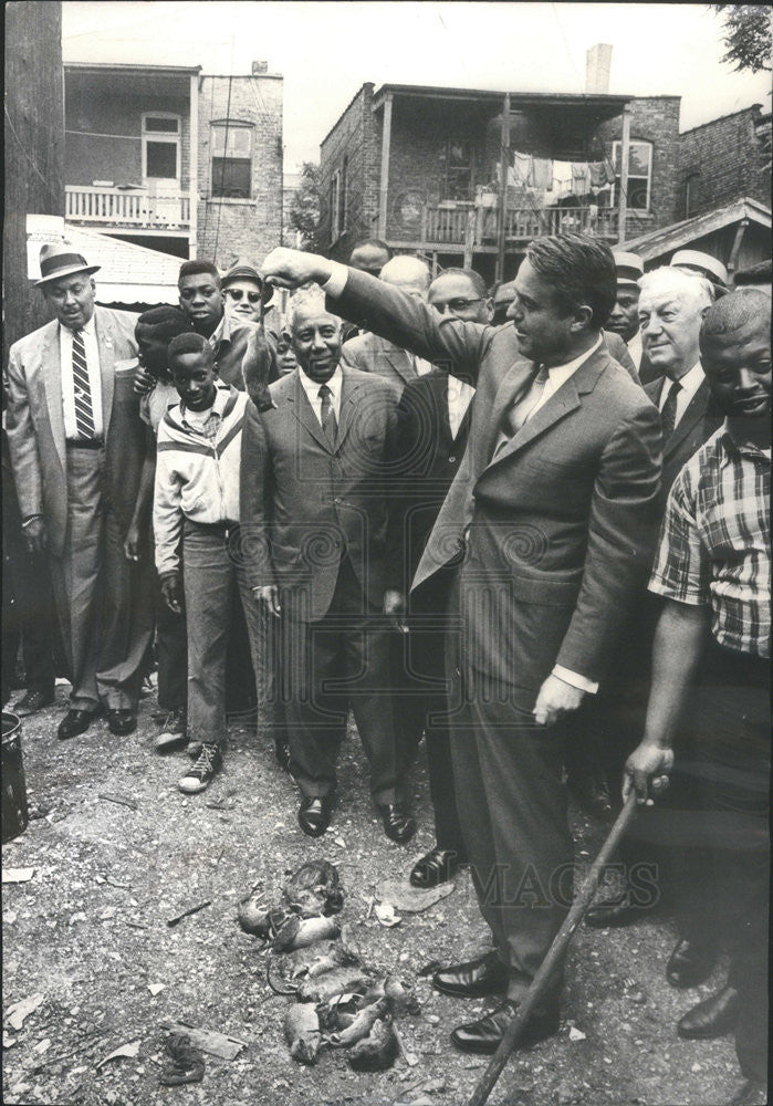 1966 Press Photo Sargent Shriver Director Economic Opportunity Holds Dead Rats - Historic Images