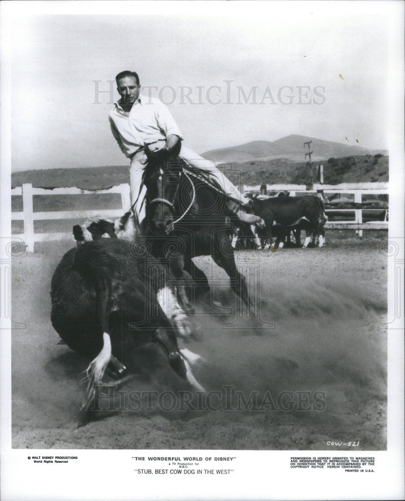 1974 Press Photo Producer Larry Lansburgh On Set STUB, BEST COW DOG IN THE WEST - Historic Images