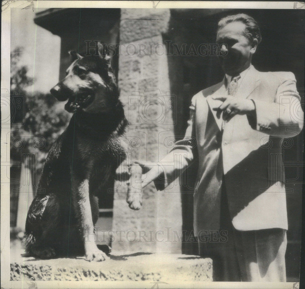 1945 Press Photo Marshal Tito, Yugoslav Head, Plays With German Shepherd &quot;Tiger&quot; - Historic Images