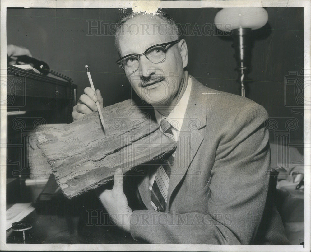 1956 Press Photo Dr. Harlow Mills, Chief, Illinois State Natural History Survey - Historic Images