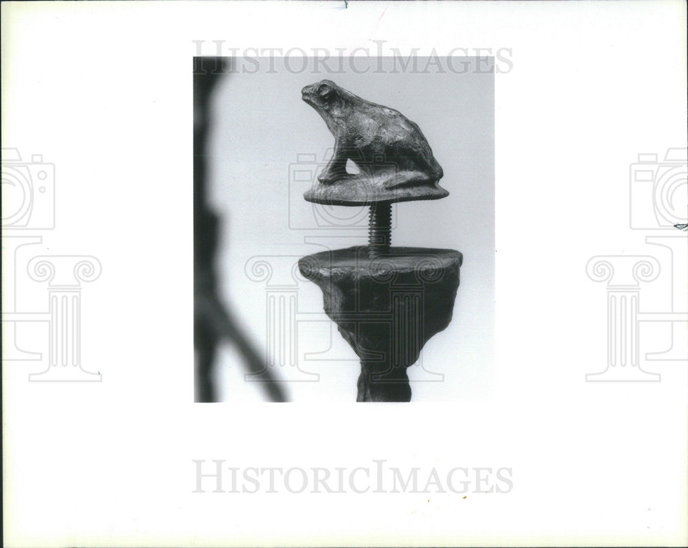 1985 Press Photo Frog Detail on Tabletop - Historic Images