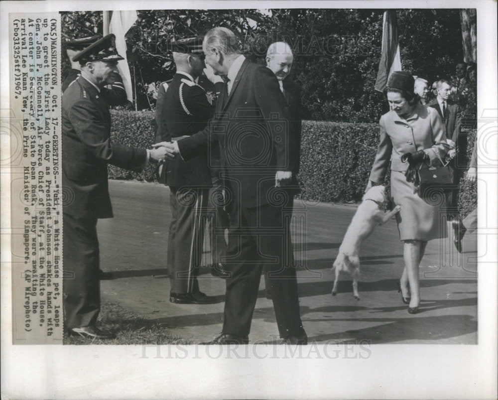 1967 Press Photo Pres Johnson &amp; first Lady w/ their pet &quot;Yuki&quot; greeting them - Historic Images