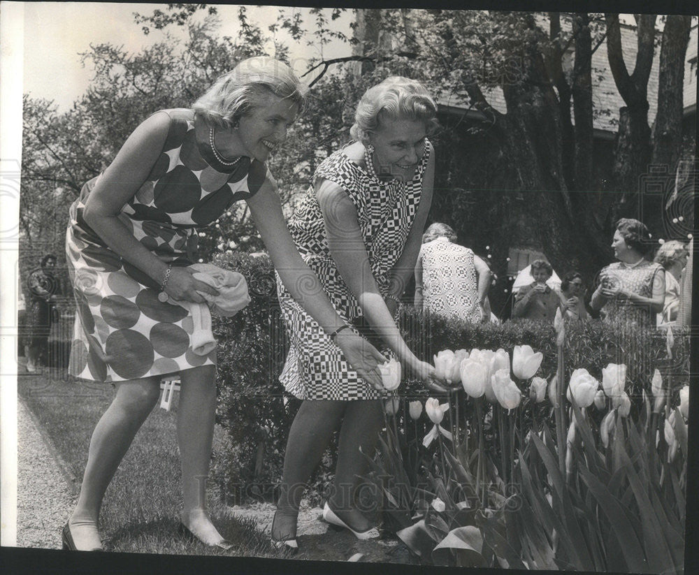 1966 Press Photo Mrs A Loring Rowe And Mrs A Watson Armour III Admire Tulips - Historic Images