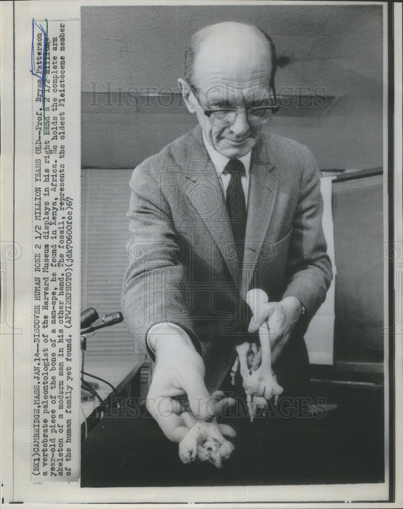 1967 Press Photo Professor Bryan Patterson Vertebrate Paleontologist  - Historic Images