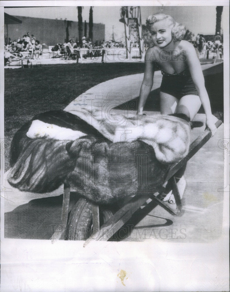 1953 Press Photo Joyce Niven Las Vegas Fur Coats - Historic Images