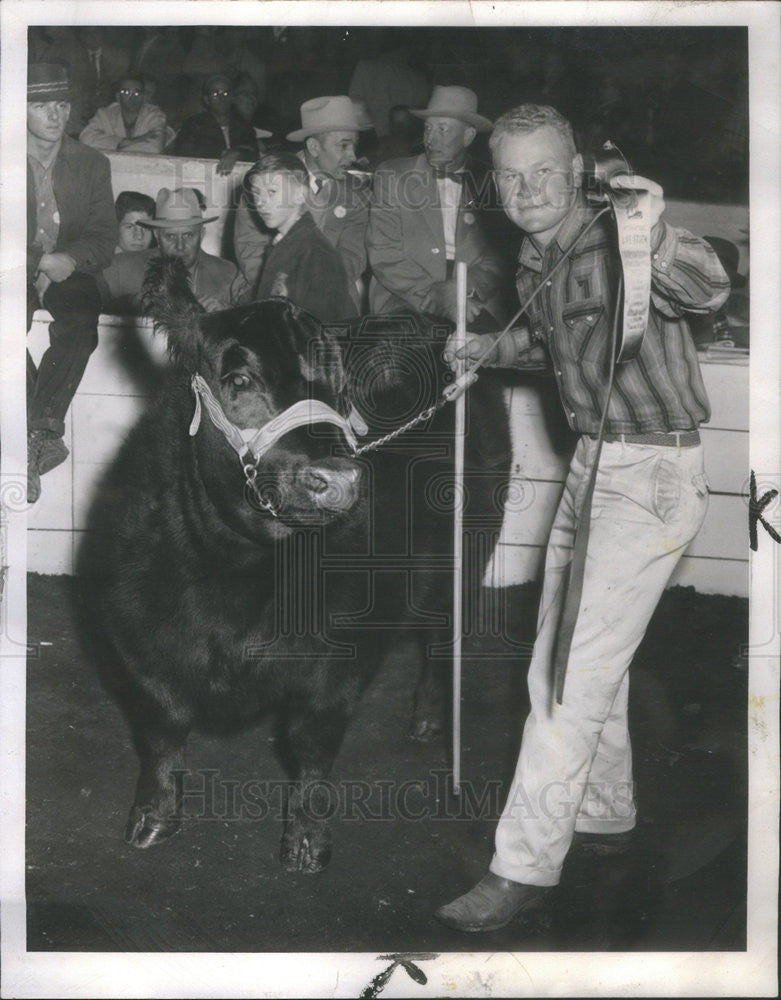 1959 Press Photo Roy Maas Black Jewel Aberdeen Angus Remsen Iowa - Historic Images