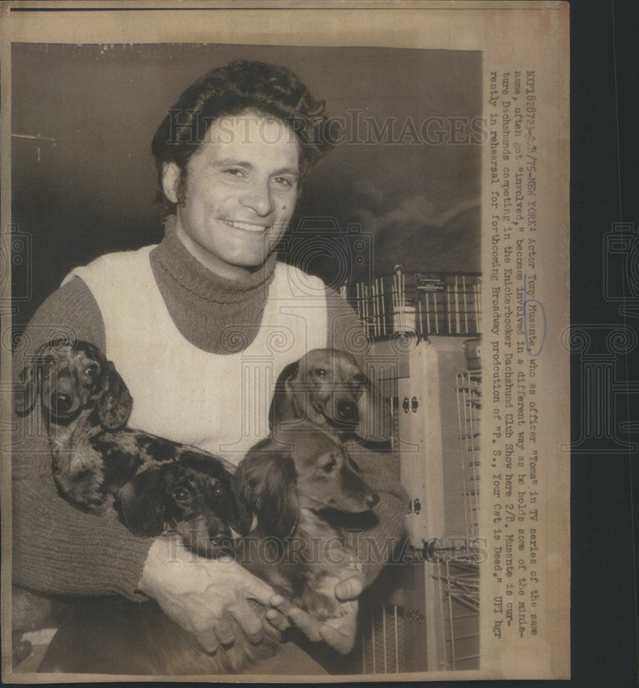 1975 Press Photo Actor Tony Musante Miniature Dachsunds Club Show - Historic Images