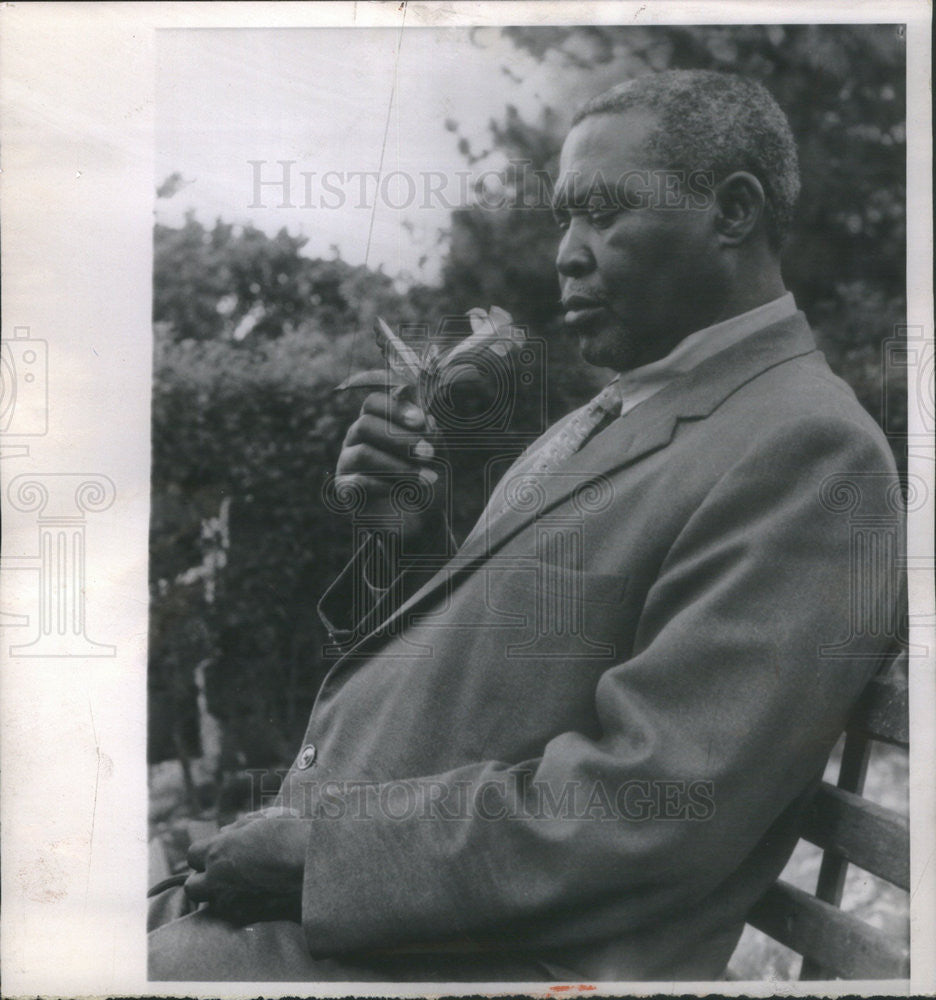 1961 Press Photo Albert luthuli zulu chief awarded Nobel peace prize - Historic Images