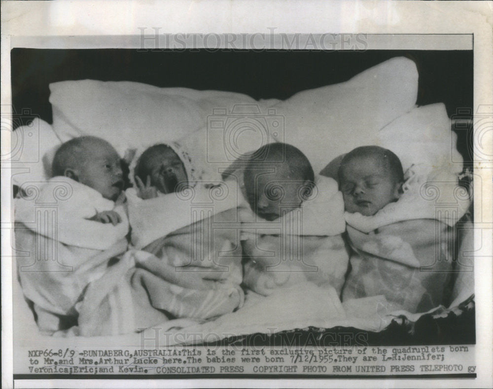 1955 Press Photo quadruplets born Mr. Mrs. Arthur Lucke Jennifer Veronica Eric - Historic Images