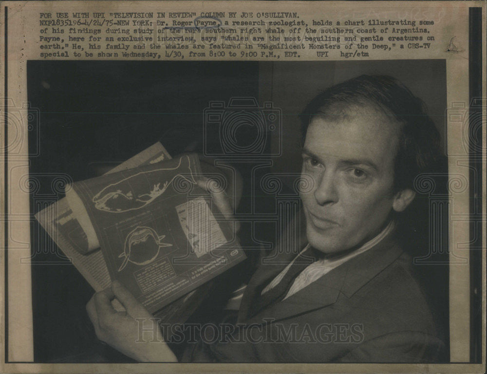 1975 Press Photo Dr. Roger Payne a Research Scologist Holds a Chart - Historic Images