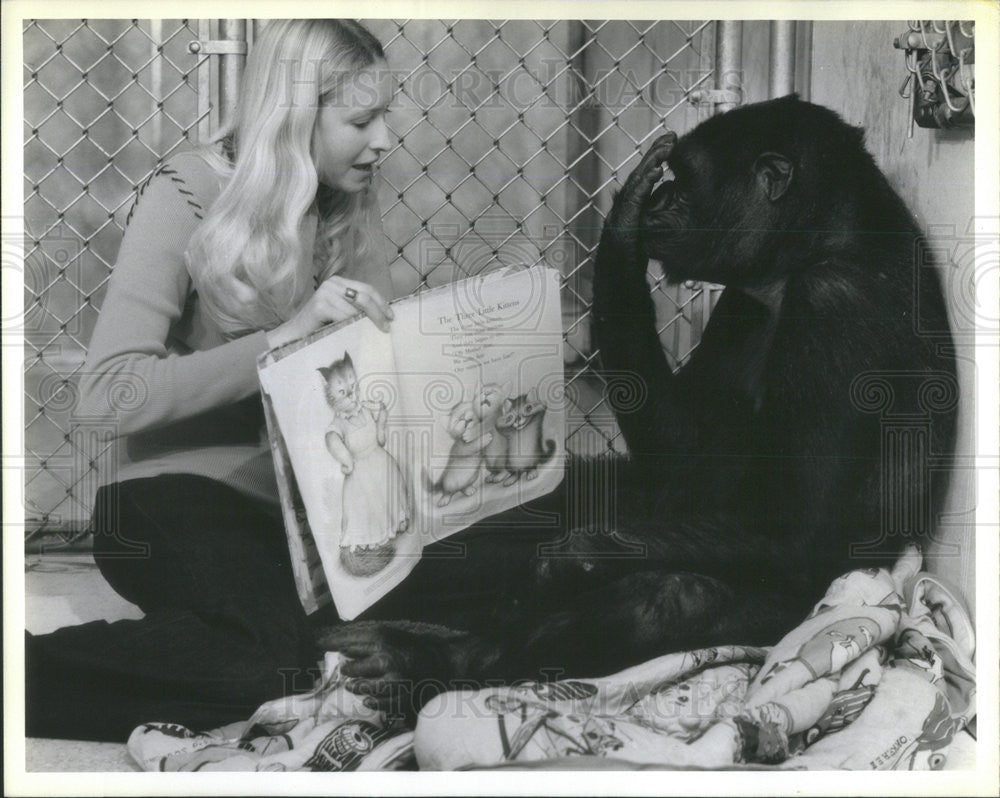 1978 Press Photo Gorilla Sign Language Koko Francine Patterson Stanford Story - Historic Images