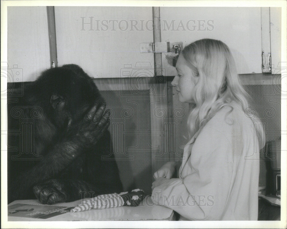 1978 Press Photo Francine Patterson and Koko the gorilla - Historic Images