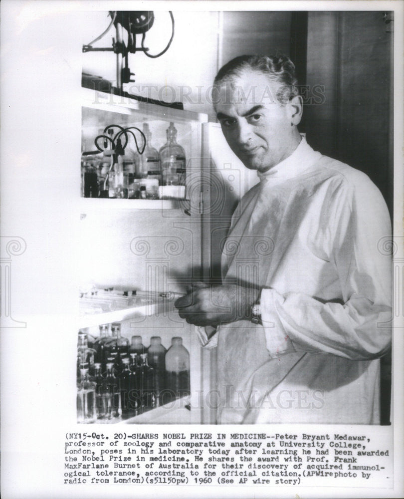 1960 Press Photo Peter Bryant Medawar, Professor of Zoology, Shares Nobel Prize - Historic Images