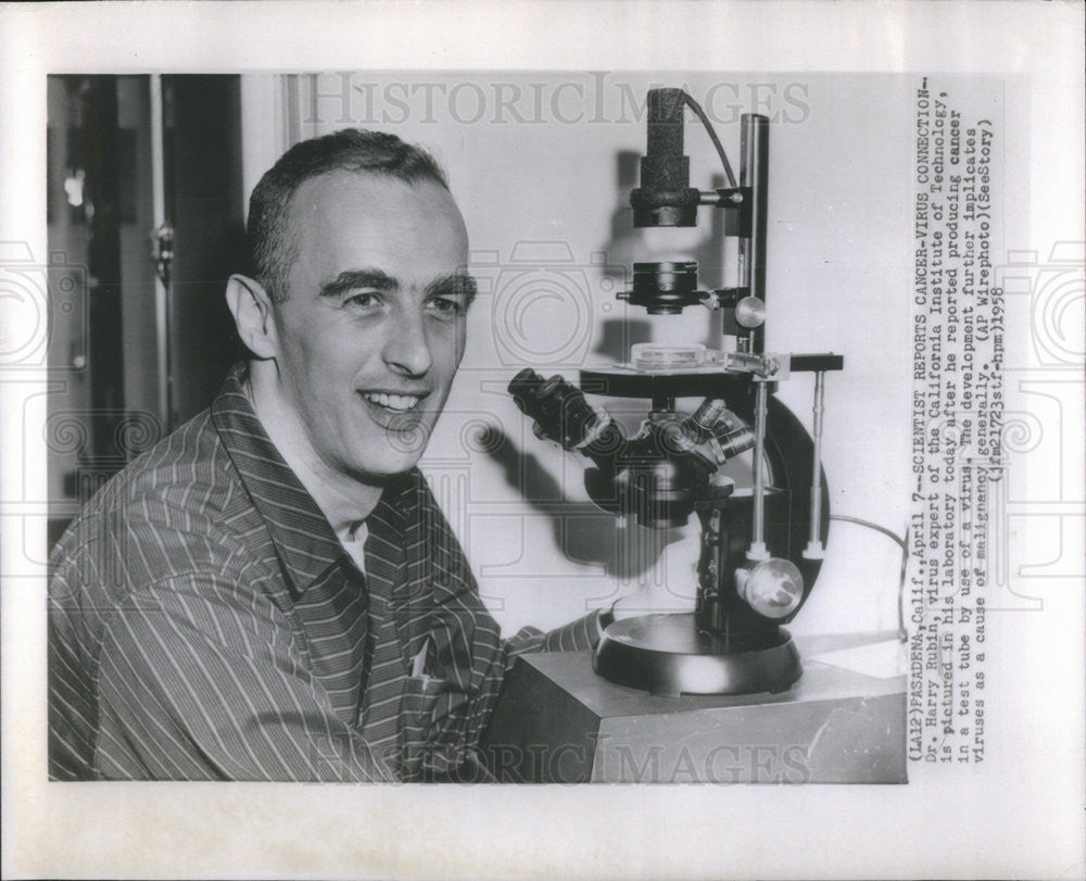 1958 Press Photo Virus Expert Rubin In Laboratory After Cancer Production - Historic Images